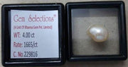 4.70/CT Keshi Pearl-1650